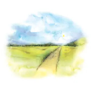 004 - Volná cesta