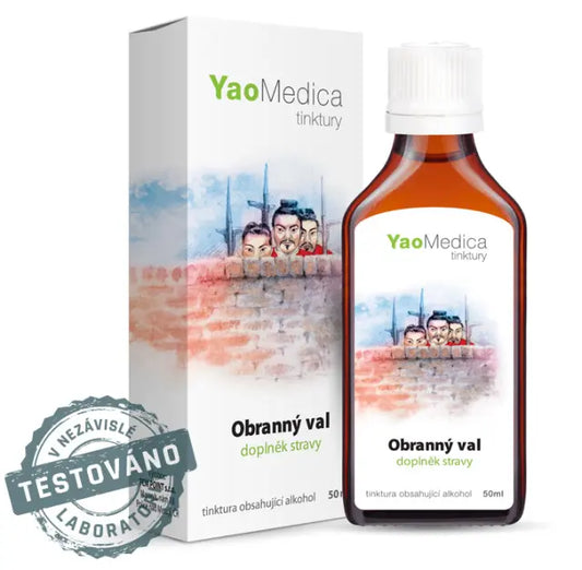 095 - Obranný val