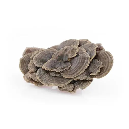 Coriolus 50 %