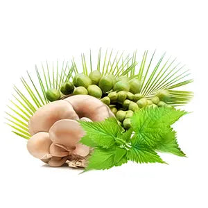 MycoProsten