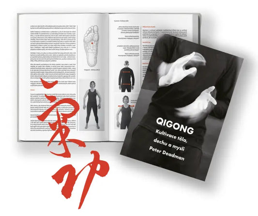 Qigong