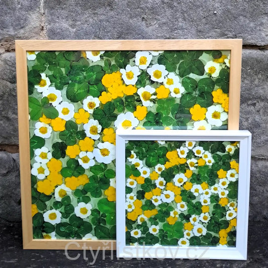 Fotografie - čtyřlístky s květy pryskyřníku a jahodníku - 43x43cm - dřevo - plná plocha