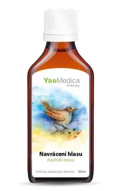 022 - Navrácení hlasu