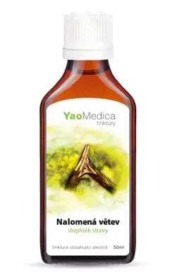 035 - Nalomená větev