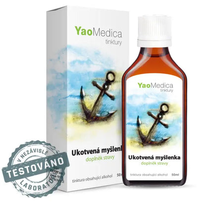 042 - Ukotvená myšlenka