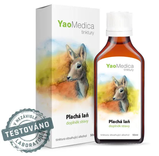043 - Plachá laň