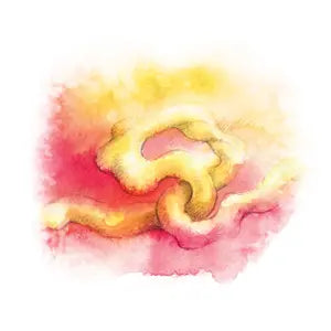 081 - Zlatá žíla