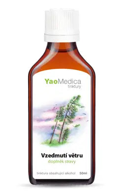 091 - Vzedmutí větru
