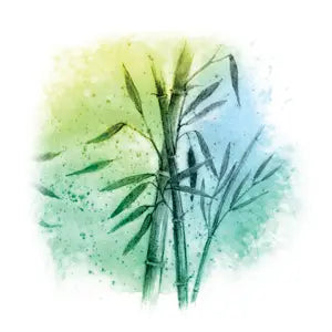 097 - Statný bambus