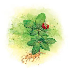 103 - Pavšehoj