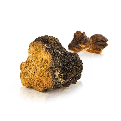 Chaga 50 %