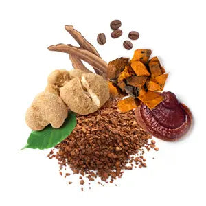 MycoCoffee