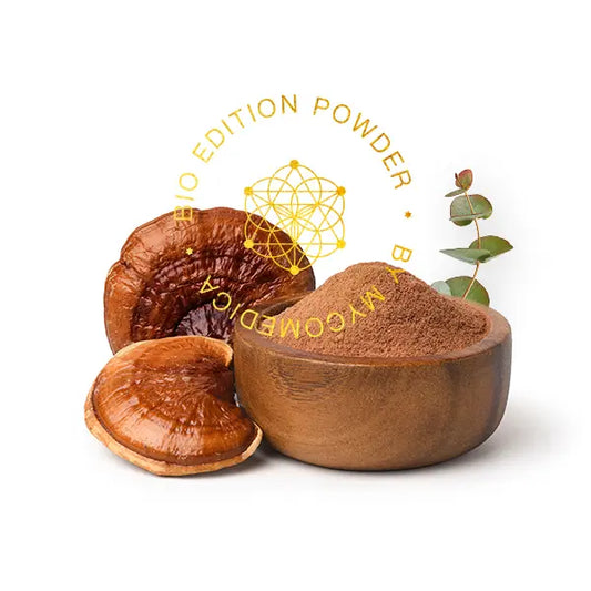 BIO Reishi - prášek