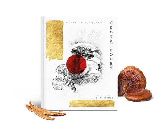 Cesta houby: Návrat k rovnováze