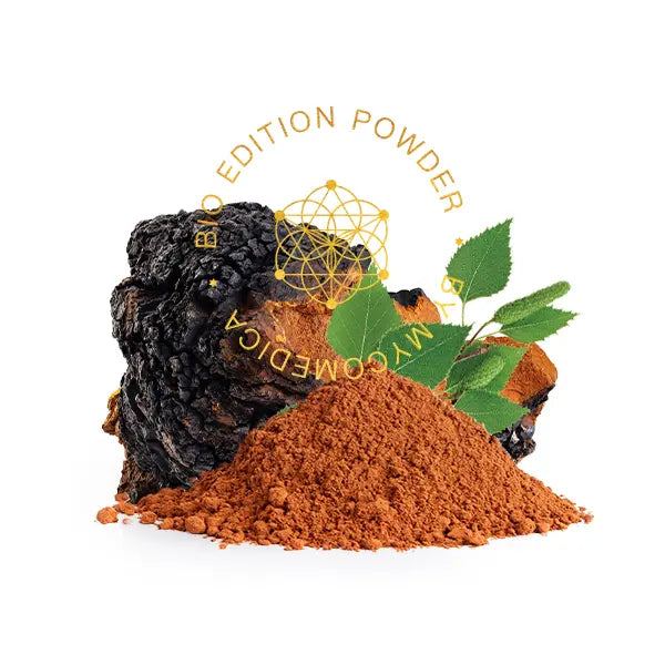 BIO Chaga - prášek