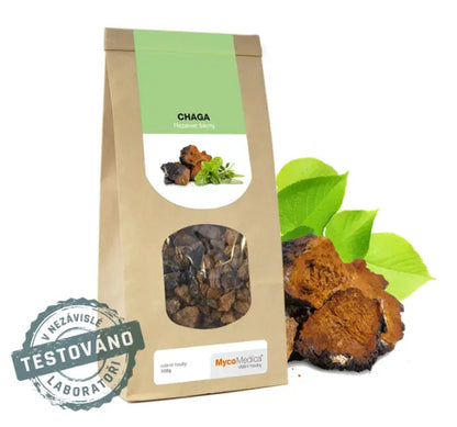Chaga sušená