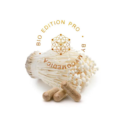 Enoki PRO