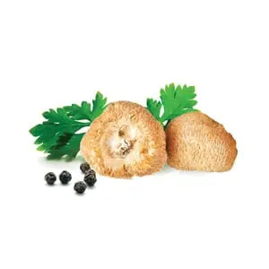 Hericium sušené