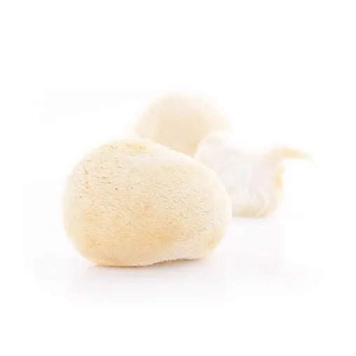 Hericium