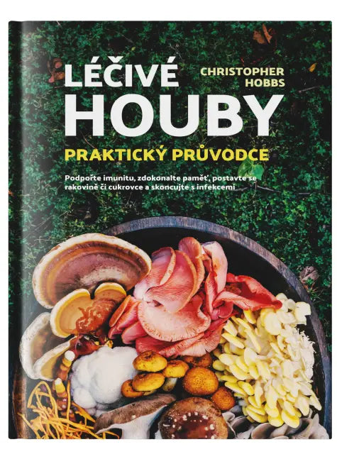 Léčivé houby - praktický průvodce