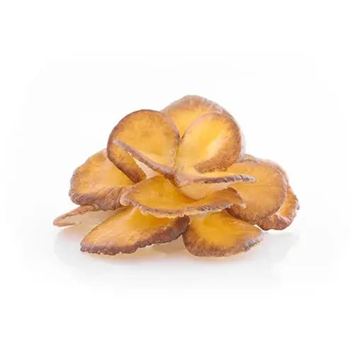 Maitake