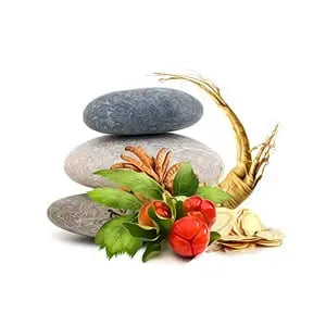 MycoBalance
