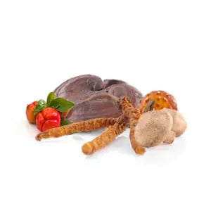 MycoComplex