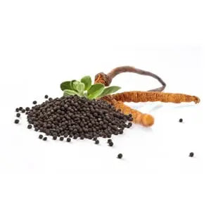MycoStamin