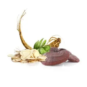 MycoStimul