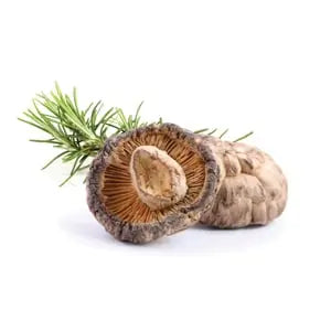 Shiitake sušená