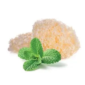 Tremella sušená