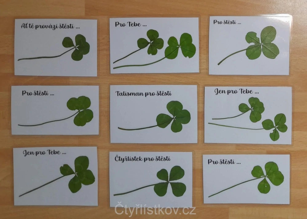 Kartička s vylisovanými čtyřlístky