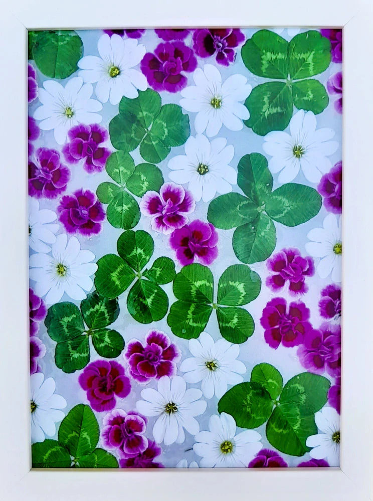 Fotografie - čtyřlístky s květy karafiátku a rožce 13x18cm v bílém rámečku