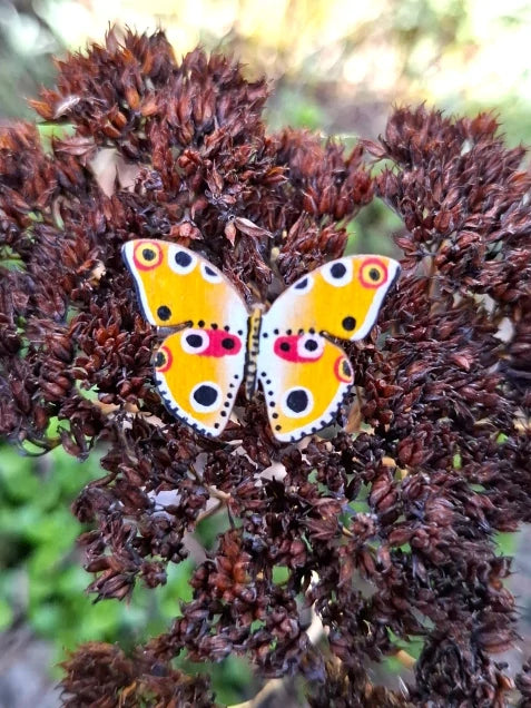 Brož Motýl Žluťásek