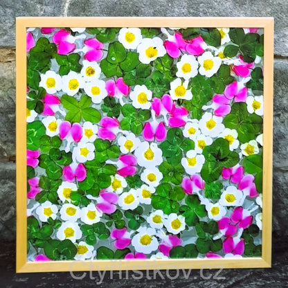 Fotografie - čtyřlístky s květy srdcovky a jahodníku - 50x50cm - dřevo - plná plocha