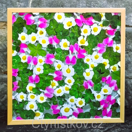 Fotografie - čtyřlístky s květy srdcovky a jahodníku - 50x50cm - dřevo - plná plocha