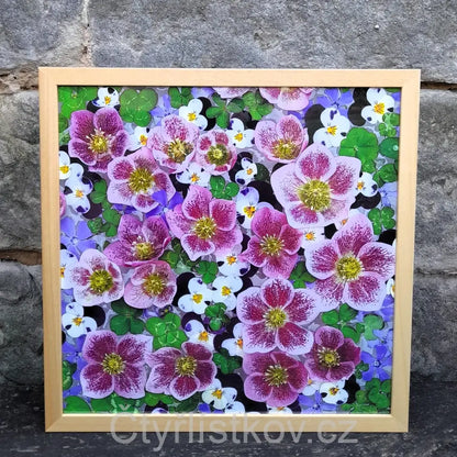 Fotografie - čtyřlístky s květy čemeřice, violek a barvínku - 43x43cm - dřevo - plná plocha