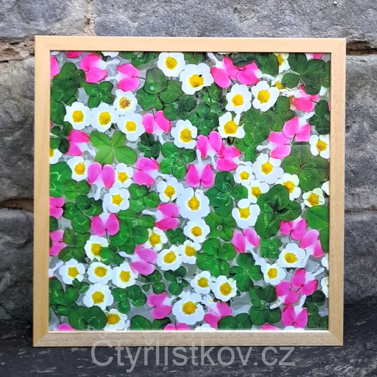 Fotografie - čtyřlístky s květy srdcovky a jahodníku - 43x43cm - dřevo - plná plocha