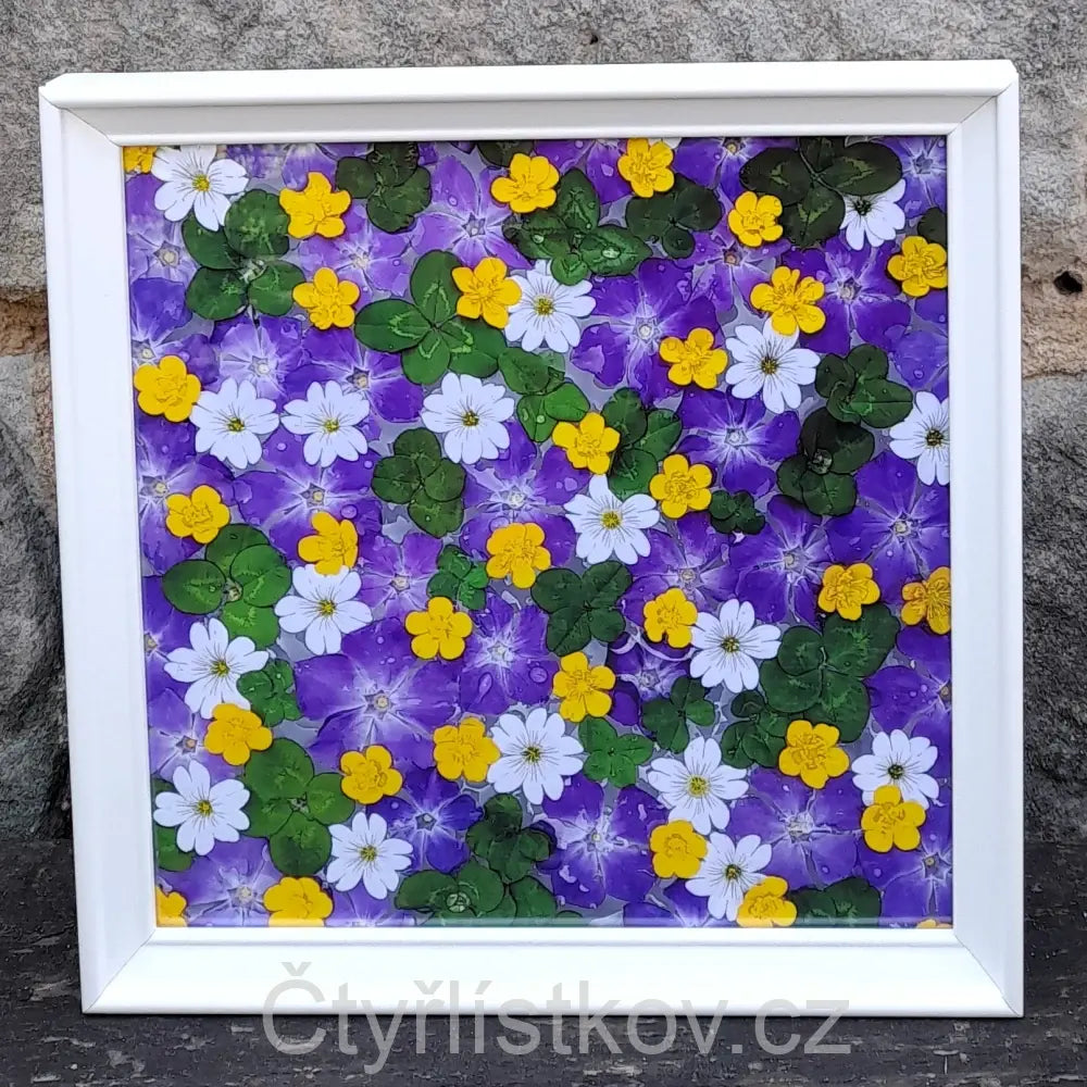 Fotografie - čtyřlístky s květy barvínku, pryskyřníku a rožce - 25x25cm - bílá - plná plocha