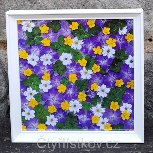 Fotografie - čtyřlístky s květy barvínku, pryskyřníku a rožce - 25x25cm - bílá - plná plocha