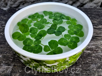 Miska plná čtyřlístků - menší