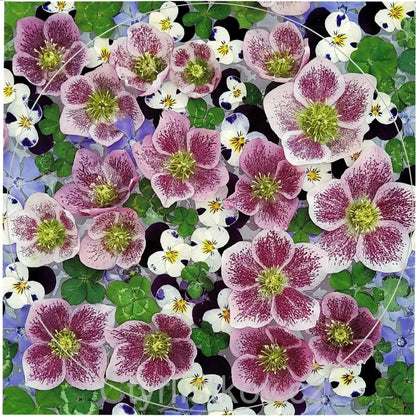 Samolepka - čtyřlístky s květy čemeřice, violek a barvínku - kruh 15 cm