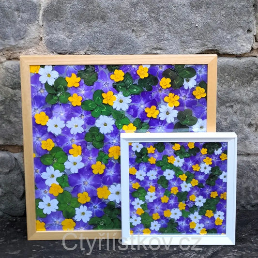 Fotografie - čtyřlístky s květy barvínku, pryskyřníku a rožce - 25x25cm - bílá - plná plocha