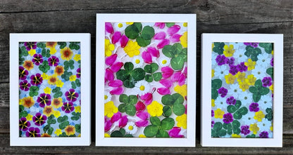 Fotografie - čtyřlístky s květy minipetunií, pryskyřníku, pomněnek a tavolníku 10x15cm v bílém rámečku