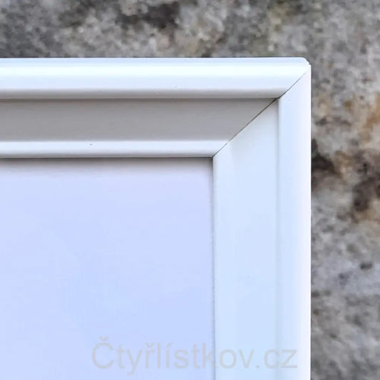 Fotografie plná čtyřlístků 30x30cm v bílém rámu