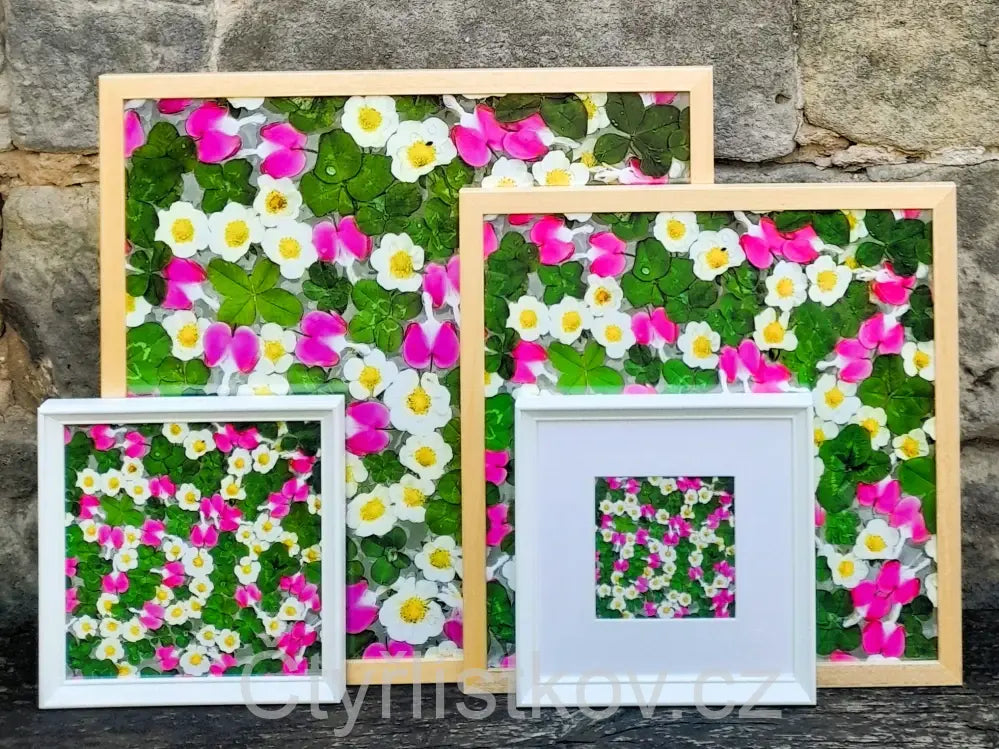 Fotografie - čtyřlístky s květy srdcovky a jahodníku - 50x50cm - dřevo - plná plocha